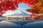 Mount Fuji Autumn Wall Art