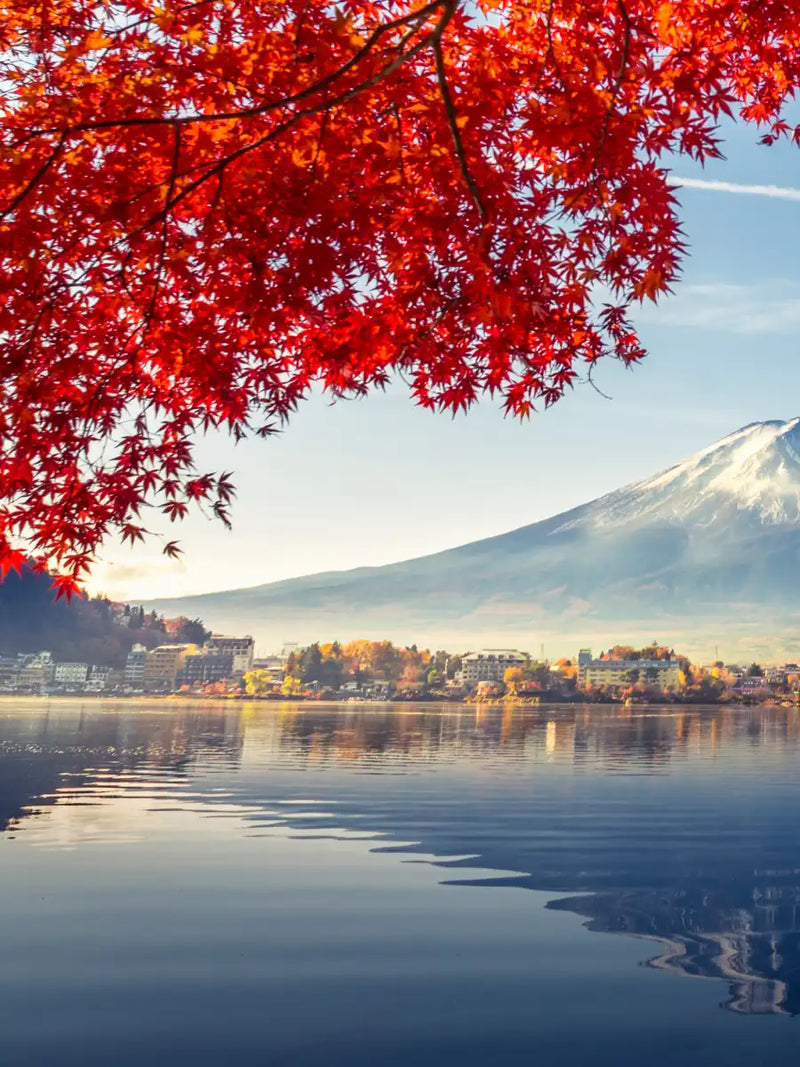 Mount Fuji Autumn Wall Art