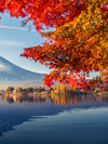 Mount Fuji Autumn Wall Art