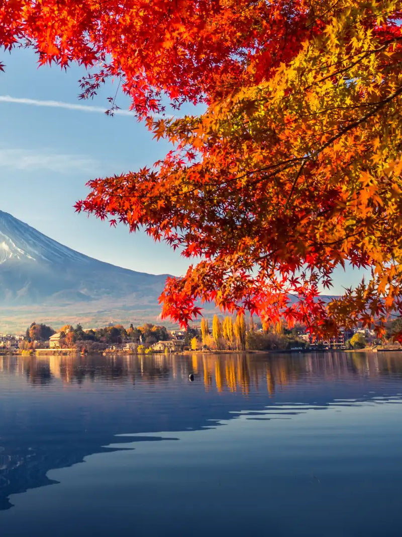 Mount Fuji Autumn Wall Art