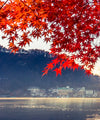 Mount Fuji Autumn Wall Art