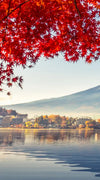 Mount Fuji Autumn Wall Art