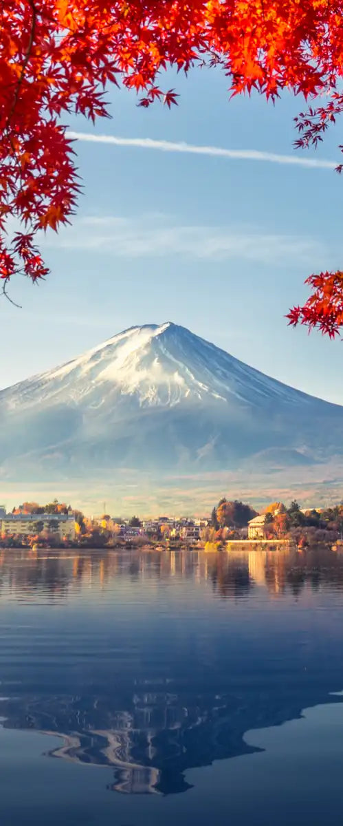 Mount Fuji Autumn Wall Art