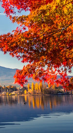 Mount Fuji Autumn Wall Art
