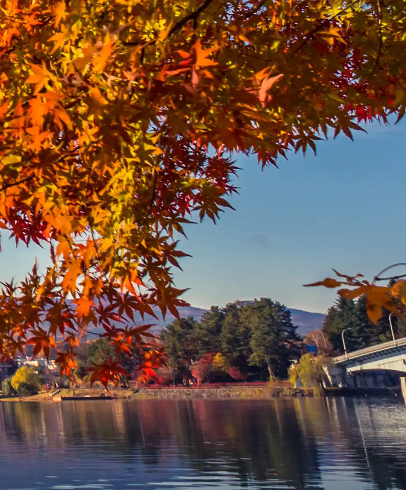 Mount Fuji Autumn Wall Art
