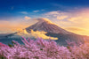 Mount Fuji Wall Art
