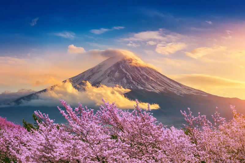 Mount Fuji Wall Art