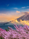 Mount Fuji Wall Art