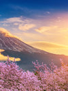 Mount Fuji Wall Art