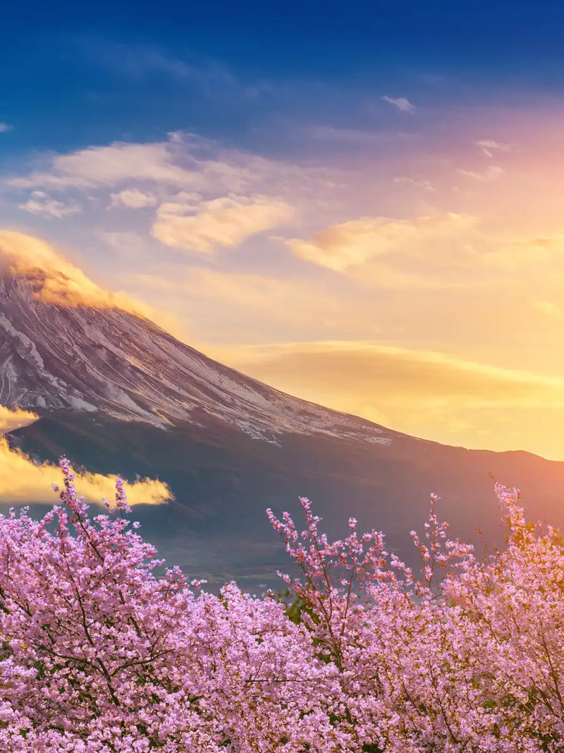 Mount Fuji Wall Art