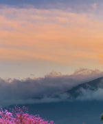 Mount Fuji Wall Art