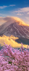 Mount Fuji Wall Art