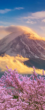 Mount Fuji Wall Art