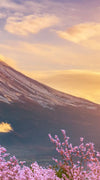 Mount Fuji Wall Art
