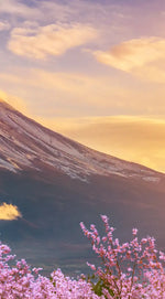 Mount Fuji Wall Art