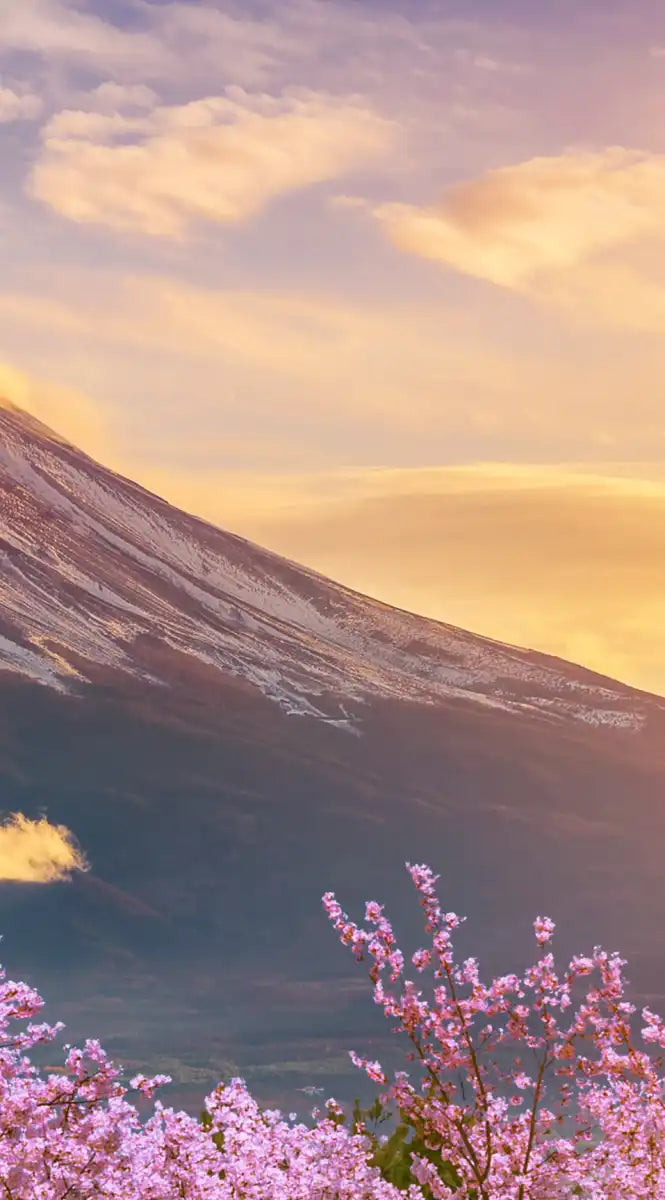 Mount Fuji Wall Art
