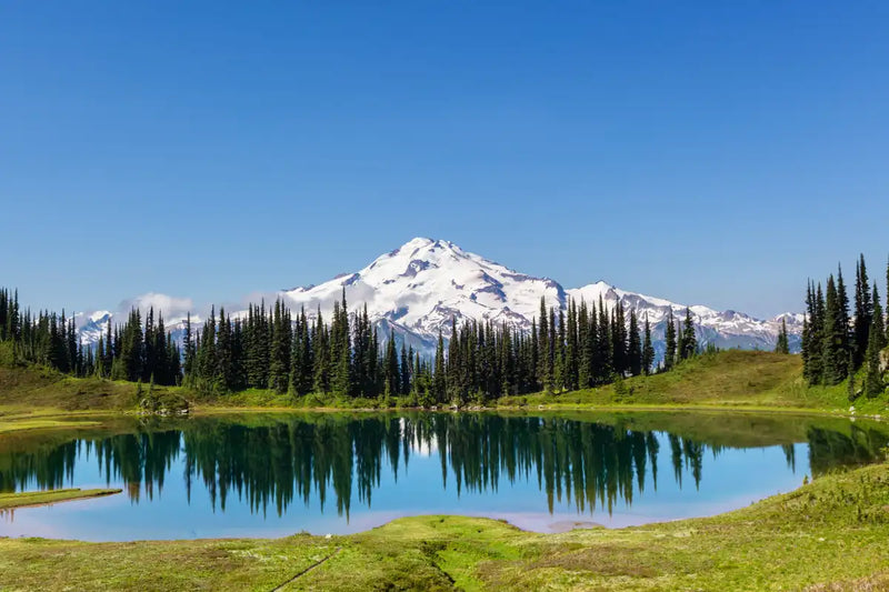 Mount Rainier Little Lagoon Wall Art