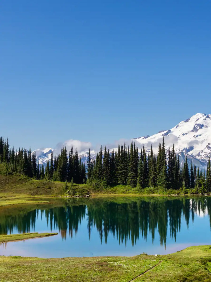 Mount Rainier Little Lagoon Wall Art