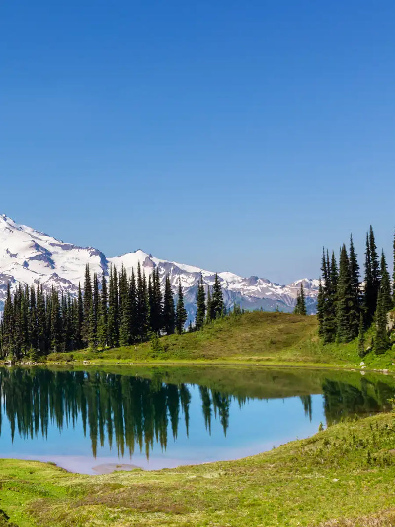 Mount Rainier Little Lagoon Wall Art