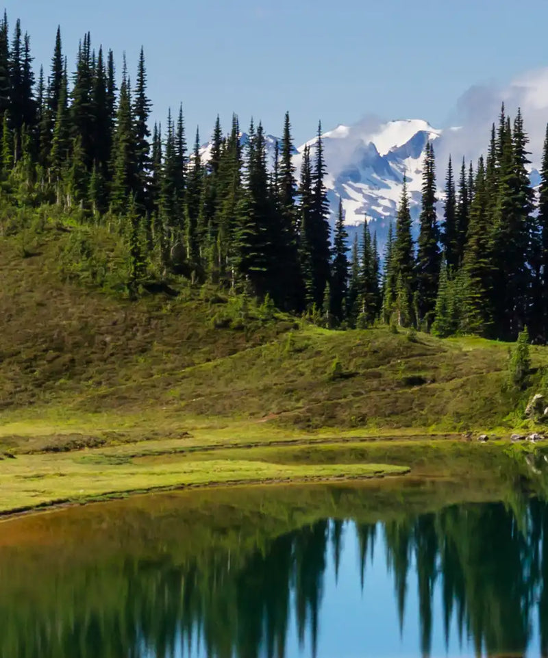 Mount Rainier Little Lagoon Wall Art