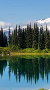 Mount Rainier Little Lagoon Wall Art