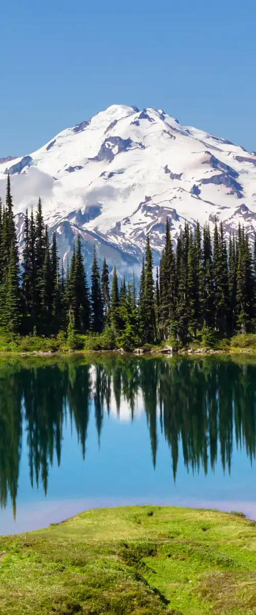 Mount Rainier Little Lagoon Wall Art