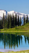 Mount Rainier Little Lagoon Wall Art