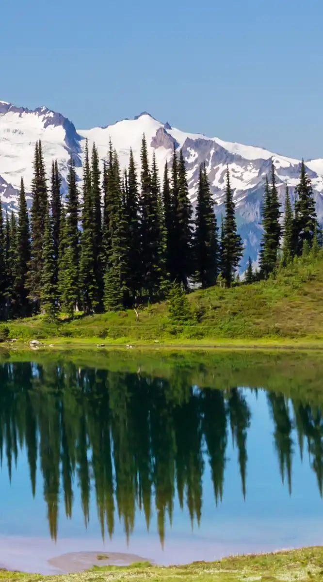 Mount Rainier Little Lagoon Wall Art