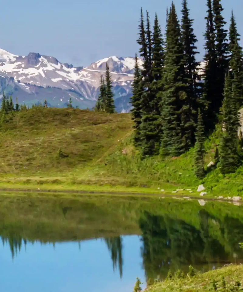 Mount Rainier Little Lagoon Wall Art