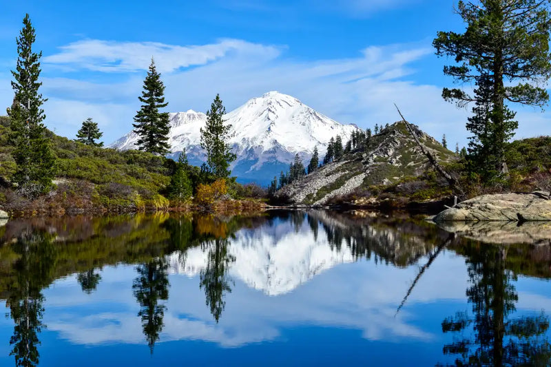 Mount Shasta Heart Lake Wall Art