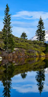 Mount Shasta Heart Lake Wall Art