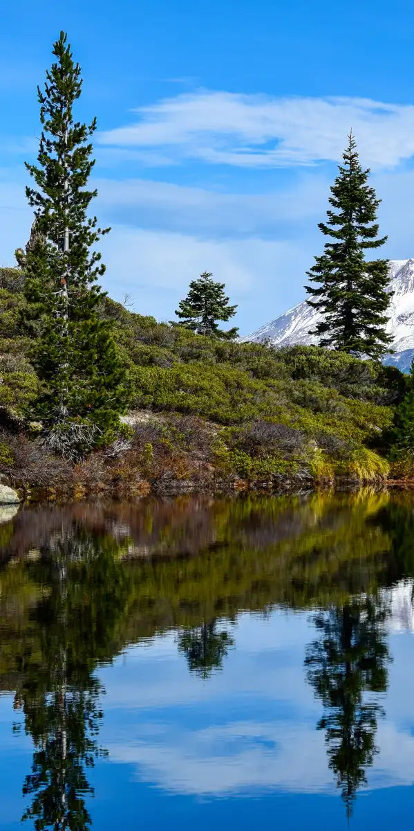 Mount Shasta Heart Lake Wall Art