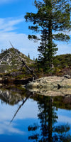 Mount Shasta Heart Lake Wall Art