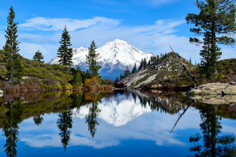 Mount Shasta Heart Lake Wall Art