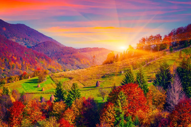 Mountain Autumn Sunrise Wall Art