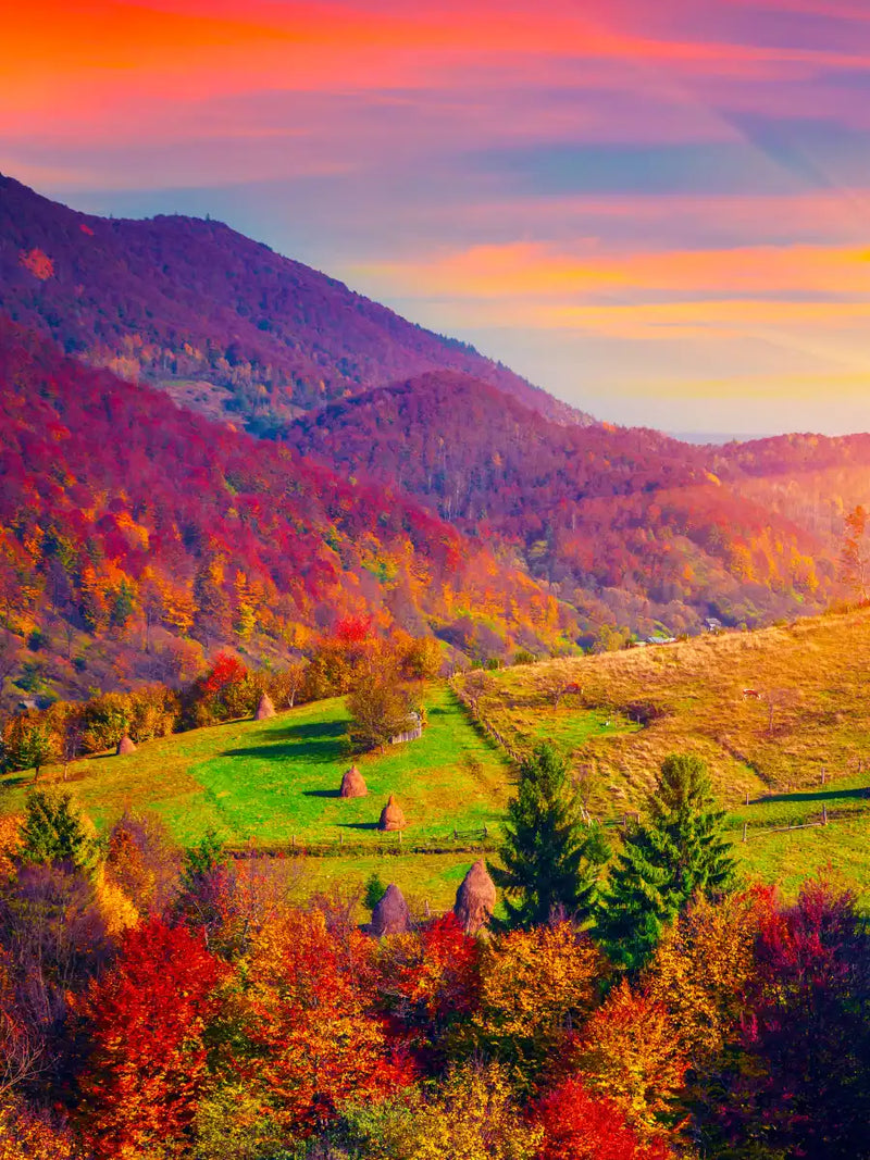 Mountain Autumn Sunrise Wall Art
