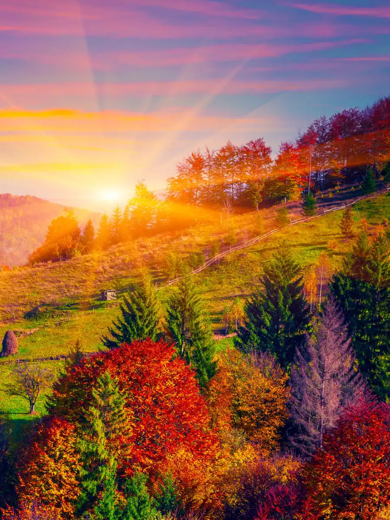 Mountain Autumn Sunrise Wall Art
