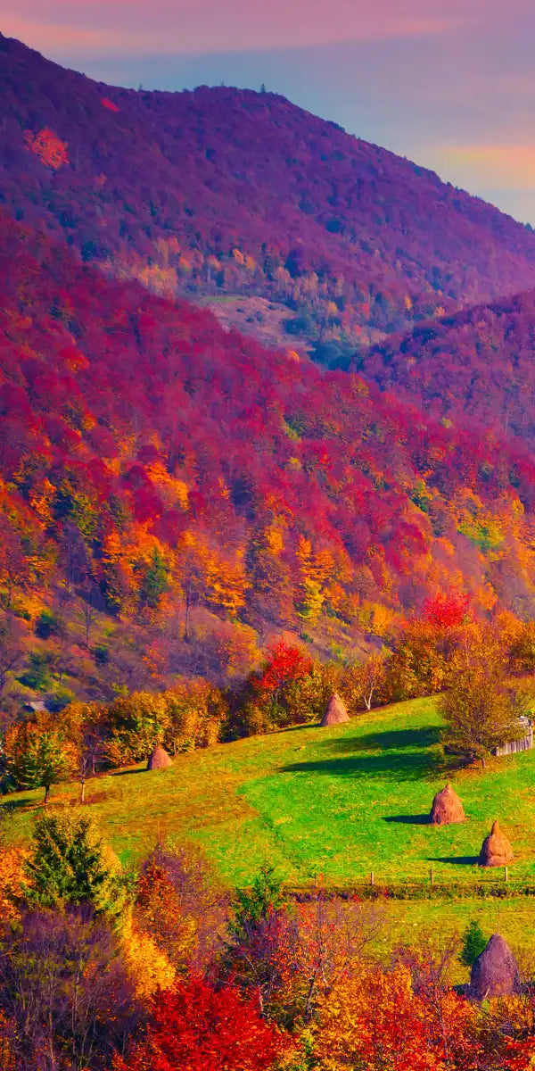 Mountain Autumn Sunrise Wall Art