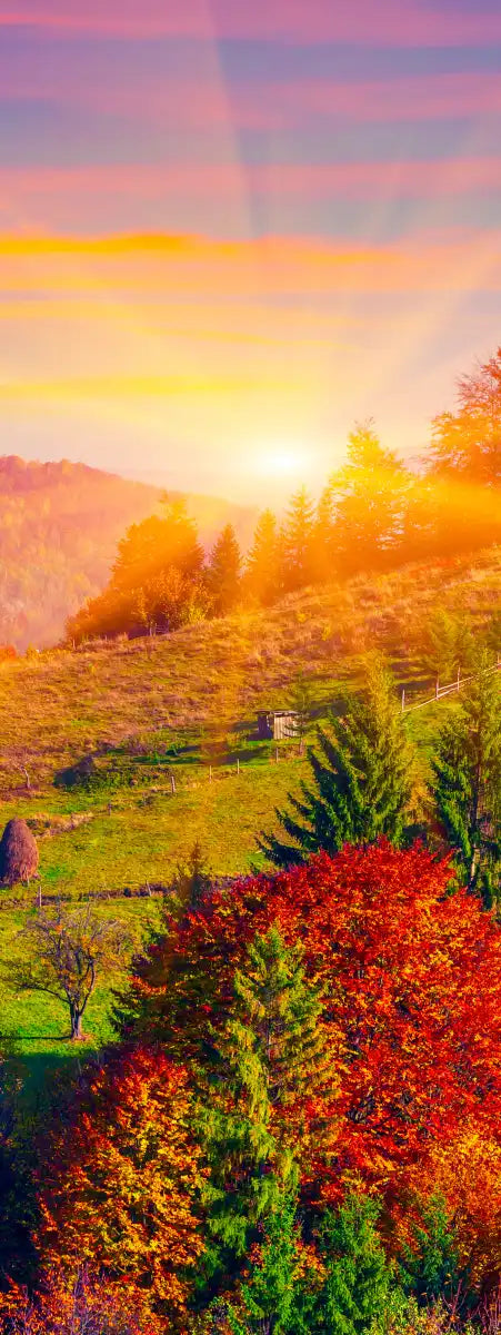 Mountain Autumn Sunrise Wall Art