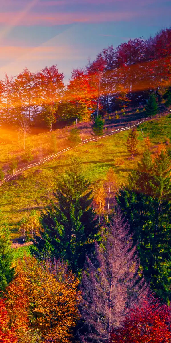 Mountain Autumn Sunrise Wall Art