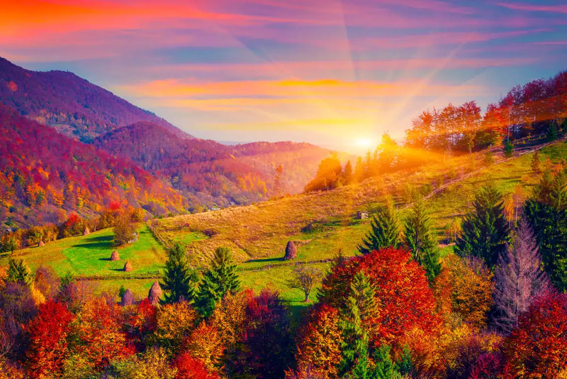 Mountain Autumn Sunrise Wall Art