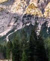 Mountain Lake Wall Art