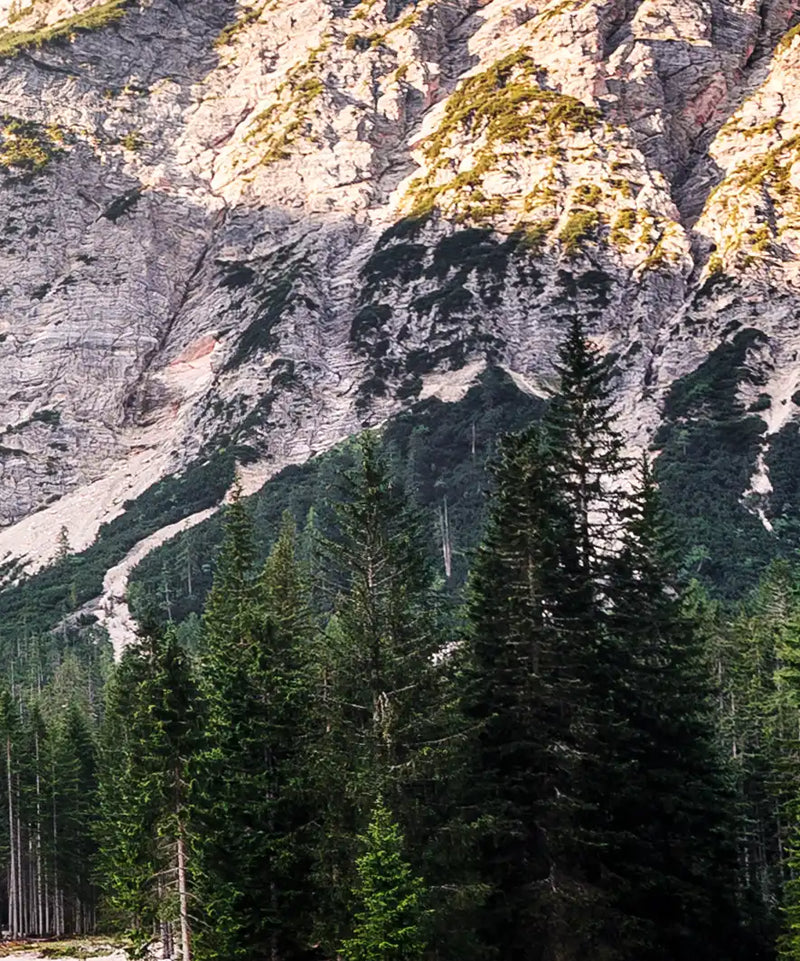 Mountain Lake Wall Art
