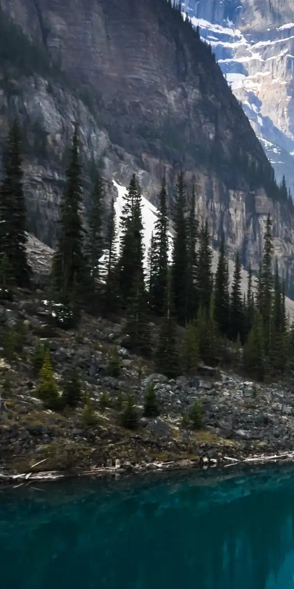 Mountain Reflection Wall Art