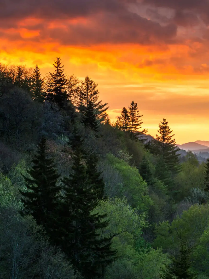 Mountain Sunrise Wall Art