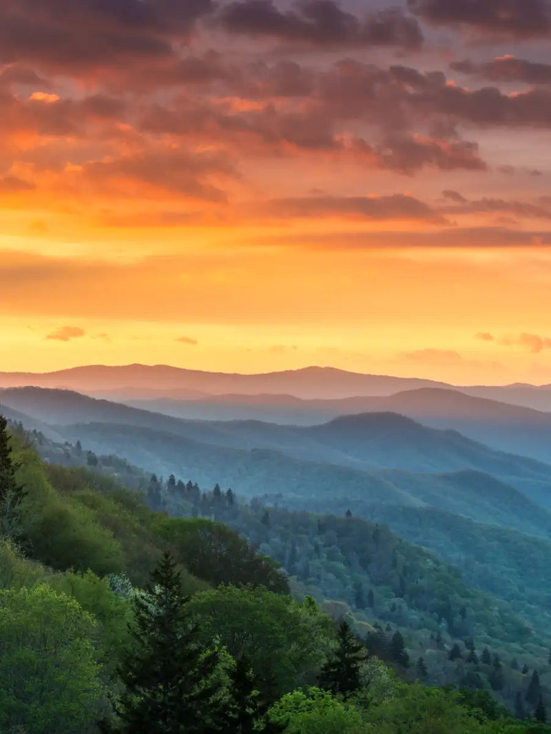 Mountain Sunrise Wall Art