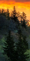 Mountain Sunrise Wall Art