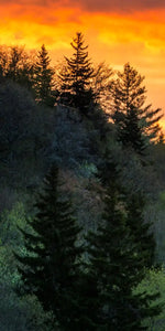 Mountain Sunrise Wall Art