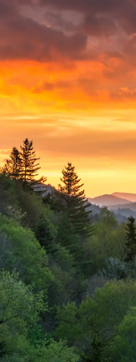 Mountain Sunrise Wall Art