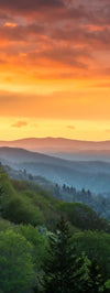 Mountain Sunrise Wall Art